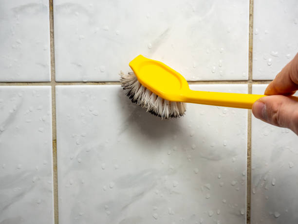 Lafayette, GA Mold Remediation Company